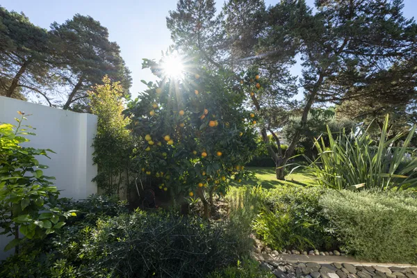Elegant beachside villa in Marbesa: private and tranquil living just steps away from the beach