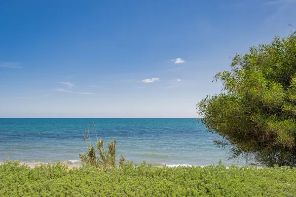 Refined beachfront living in Alcazaba Beach, Estepona